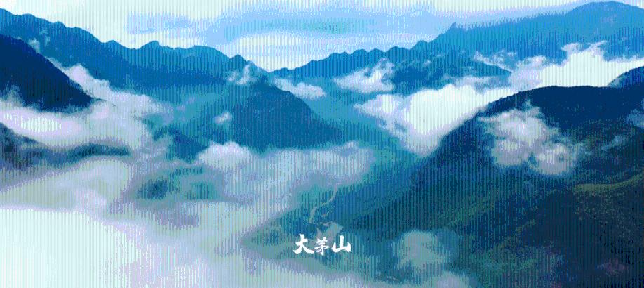 逃离鱼店