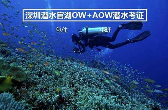 年味满满的手写春联 便宜实惠的车厘子 这些年货不能错过