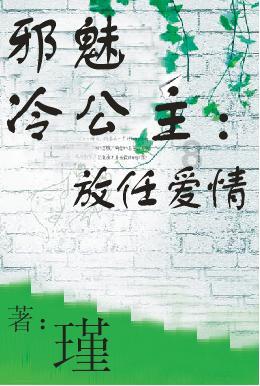 疯狂的小偷