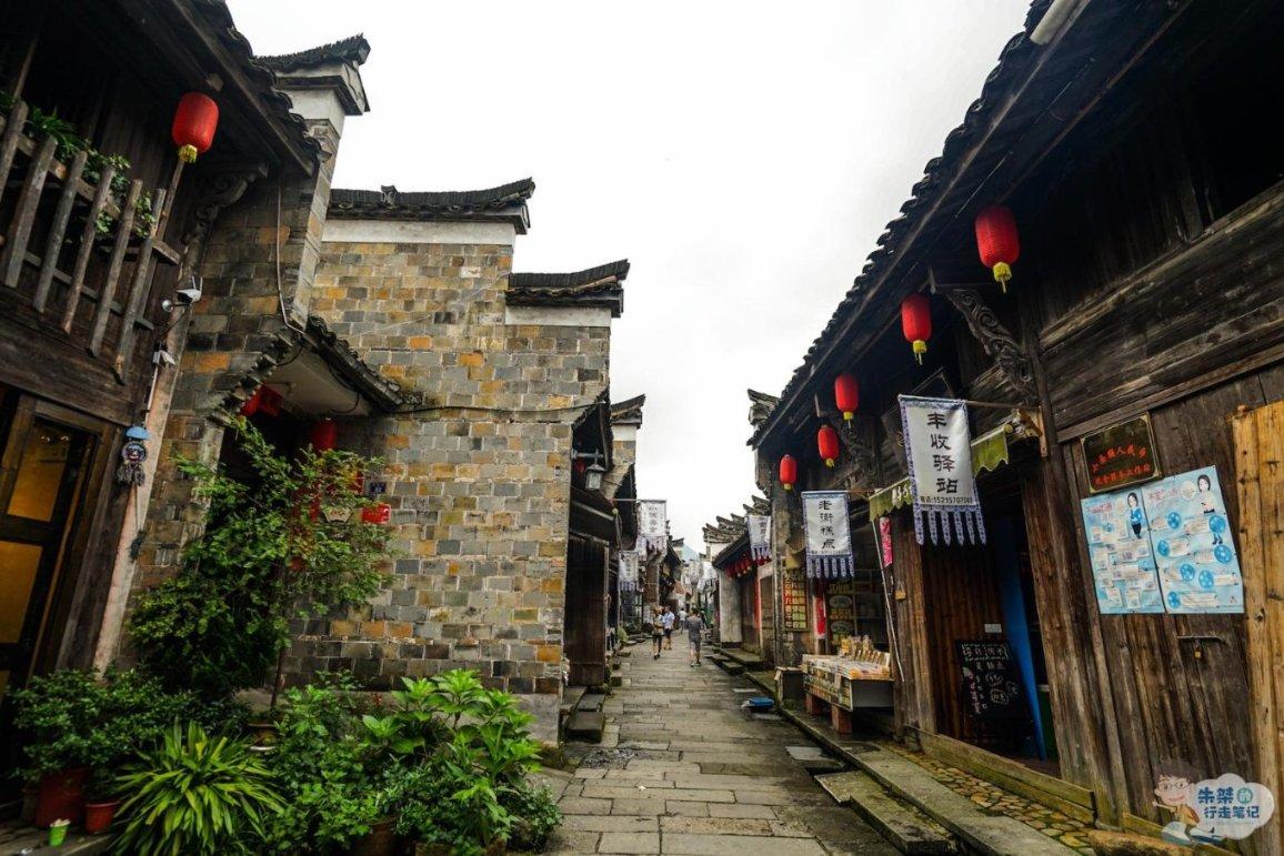 美人鱼的聚会