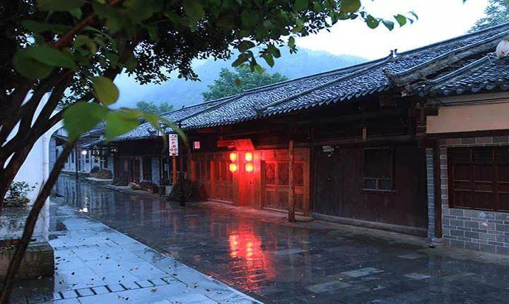 丛林森林逃生